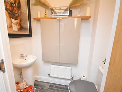 Picture 12